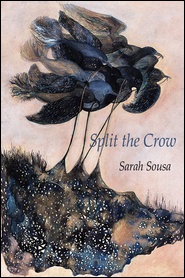 Split the Crow